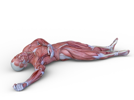 3D CG rendering of muscle manの写真素材