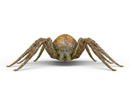 3D CG rendering of spiderの写真素材