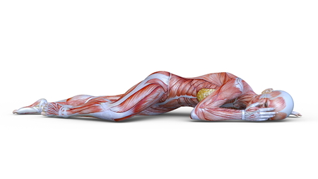 3D CG rendering of muscle womanの写真素材