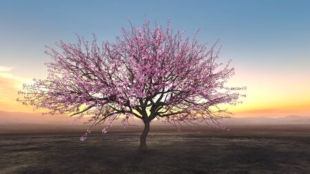 3D CG rendering of Sakura Scenery