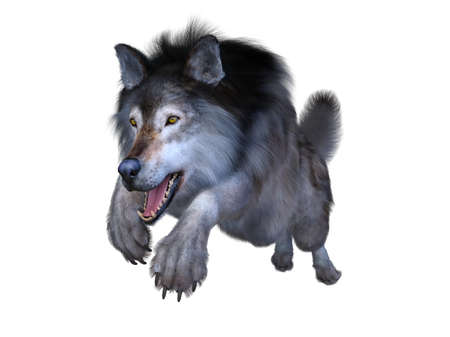 3D rendering of a wolf