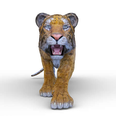 3D rendering of a tigerの写真素材