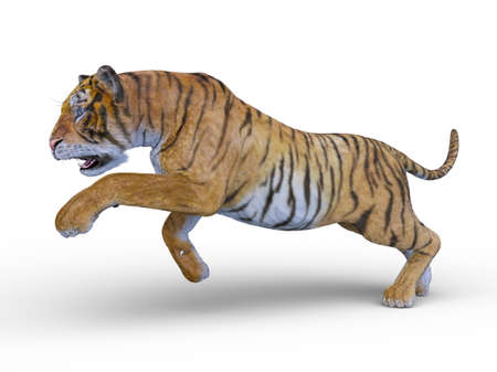 3D rendering of a tigerの写真素材