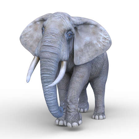 3D rendering of an elephantの写真素材