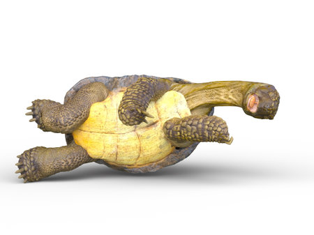 3D rendering of a giant tortoiseの写真素材
