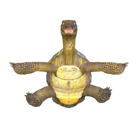 3D rendering of a giant tortoiseの写真素材