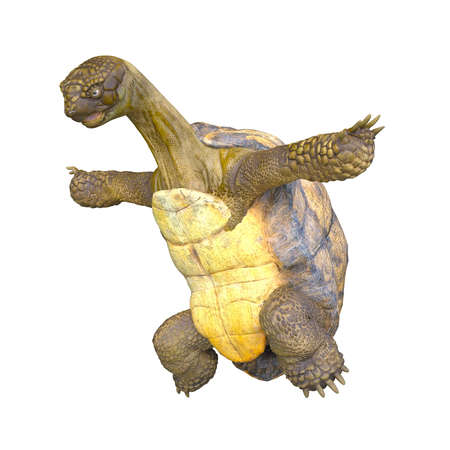 3D rendering of a giant tortoise
