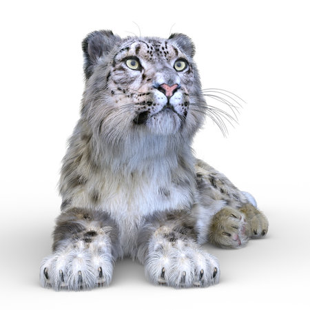 3D rendering of a snow leopardの写真素材