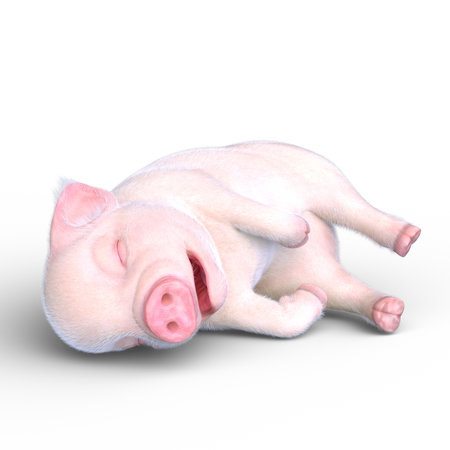 3D rendering of a miniature pigの写真素材