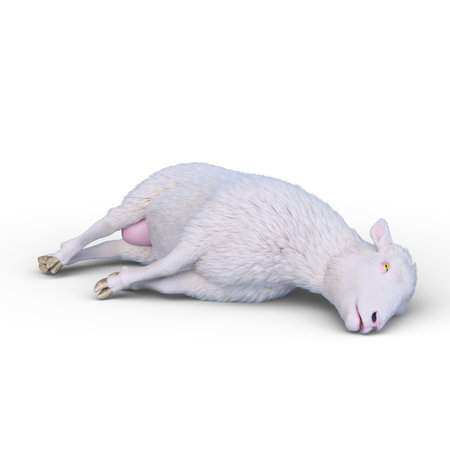3D rendering of a sheepの写真素材