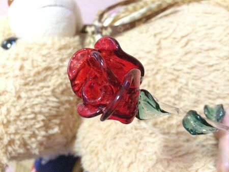 Giving rose to something you love itの写真素材