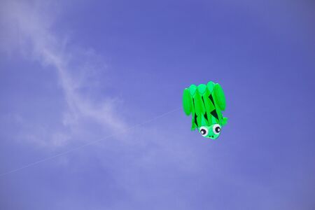 Kite in the skyの写真素材