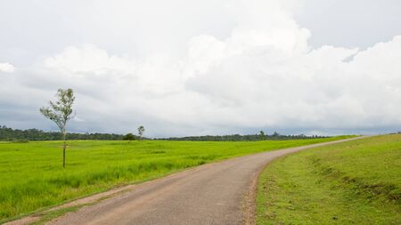 Green field landscapeの写真素材