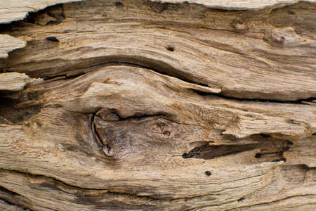 Background of woodの写真素材