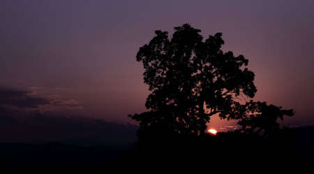 silhouette at twilightの写真素材