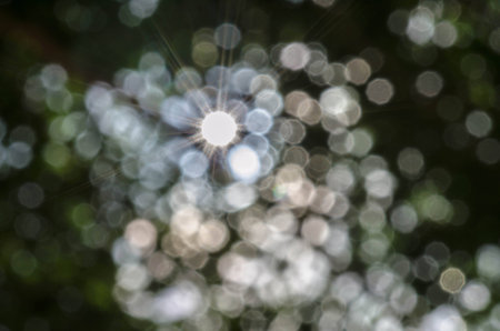 Bokeh