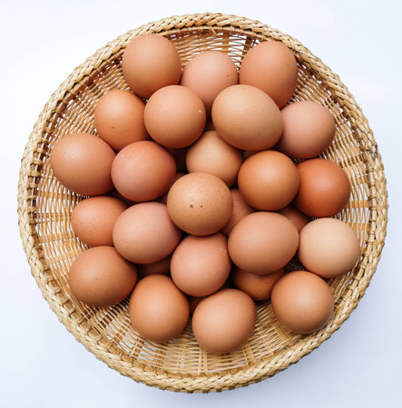eggsの写真素材