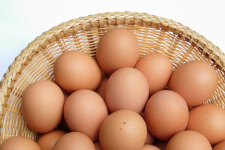 eggsの写真素材