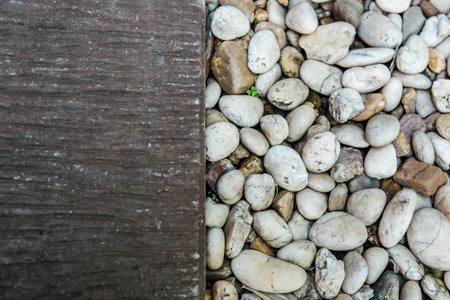 2 types of backgroundの写真素材