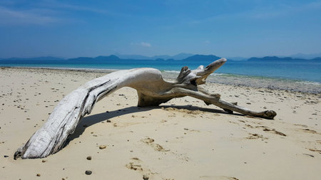 Beach in Thailand