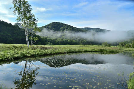 Natural scenery reflected in the pondの写真素材