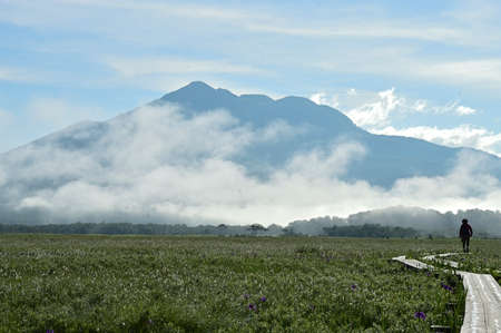 Grassland in early summerの写真素材
