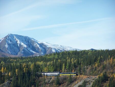 Railway station in Denali National Parkの写真素材