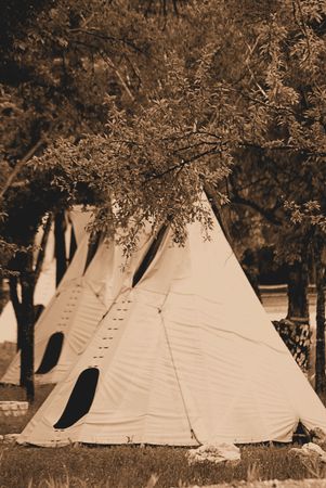 Three tee-pees lined up in the trees