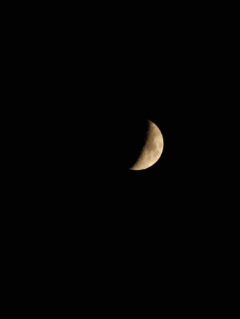 A quarter moon on a clear nightの写真素材