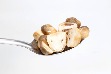 raw fresh mushroom with ladleの写真素材
