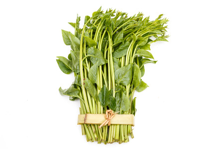 asian fresh vegetableの写真素材