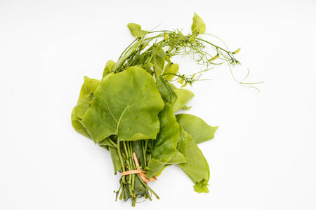 asian fresh vegetableの写真素材