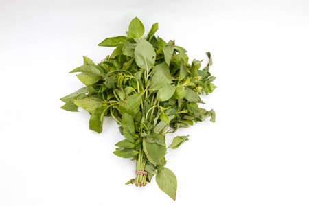 asian fresh vegetableの写真素材