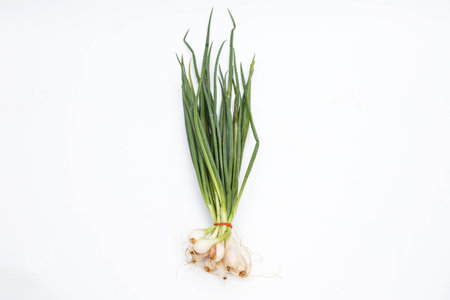 asian fresh vegetableの写真素材