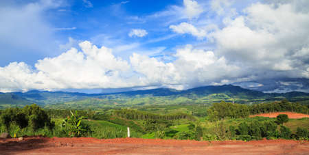 countryside hill road  with green treeの写真素材