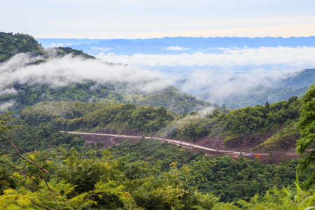 countryside hill road  with green tree