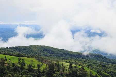 countryside hill road  with green treeの写真素材