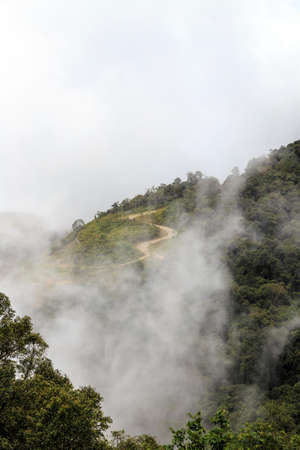 countryside hill road  with green tree