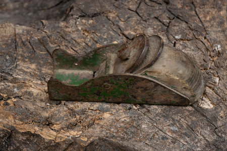 antique carpentry tool