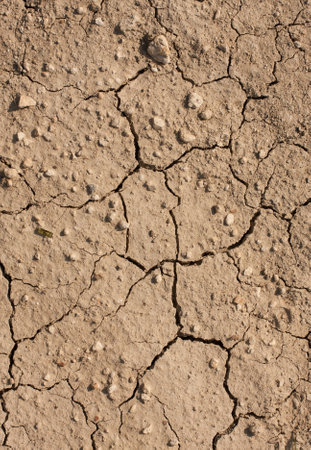 dry cracked earth