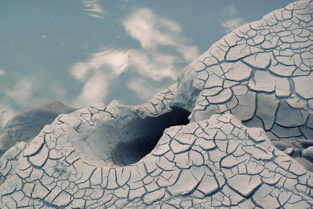 texture of a cracked swamp that has dried up near the waterの写真素材