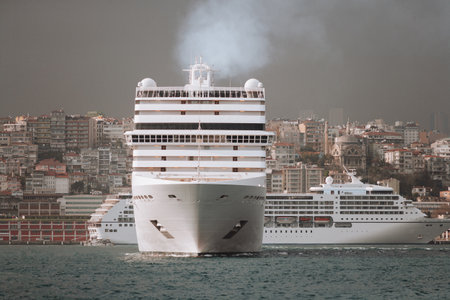 a large sea passenger liner departs from the shore for a trip