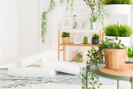 beautiful interior photographs of the modern bedroom, comfortable pillows of orthopedicの写真素材