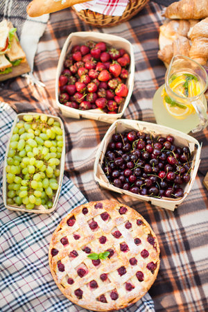 outdoor picnic, nature in the garden, baking, pie, delicious, fruits, close-upの写真素材