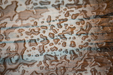 close up of water droplets on blackboardの写真素材