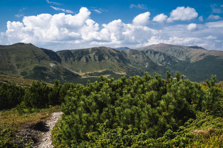 beautiful landscape mountains Carpathians in the Ukraine