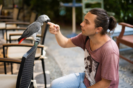 a handsome guy is playing and talking with a Jaco parrotの写真素材