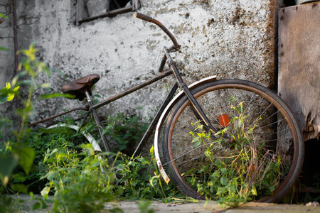 old retro bicycle in the backyard near the shedの写真素材