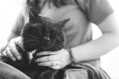a man holds a black cat in his handsの写真素材