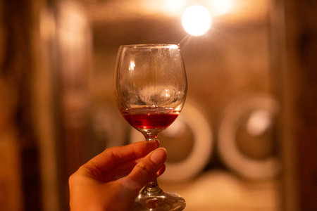 close up of a glass of red wine in handの写真素材